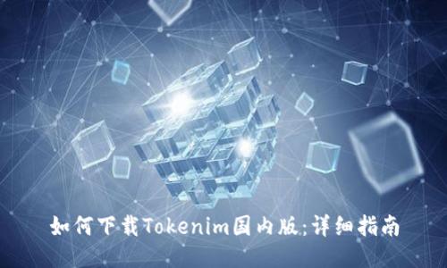 如何下载Tokenim国内版：详细指南