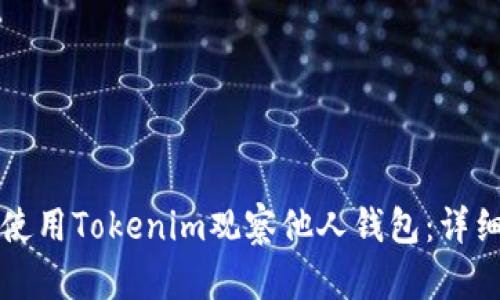 如何使用Tokenim观察他人钱包：详细指南