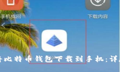 如何将比特币钱包下载到手机：详尽指南