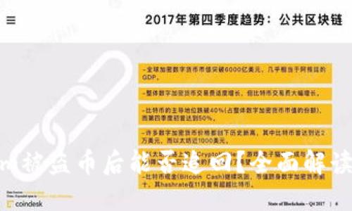 Tokenim被盗币后能否追回？全面解读与建议