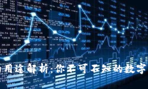 比特币钱包的用途解析：你不可不知的数字资产管理工具