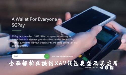 全面解析区块链XAV钱包类型及其应用