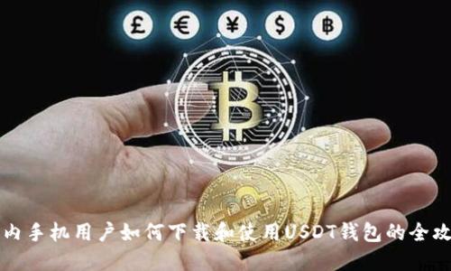 国内手机用户如何下载和使用USDT钱包的全攻略