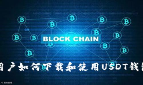 国内手机用户如何下载和使用USDT钱包的全攻略