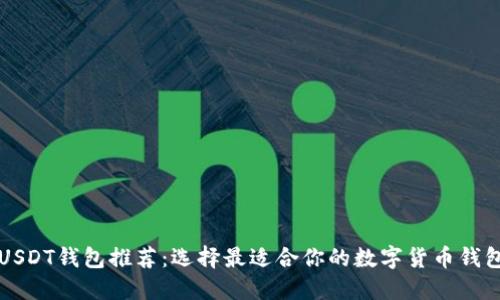 USDT钱包推荐：选择最适合你的数字货币钱包