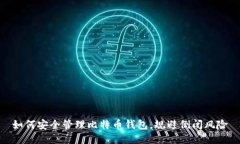 如何安全管理比特币钱包