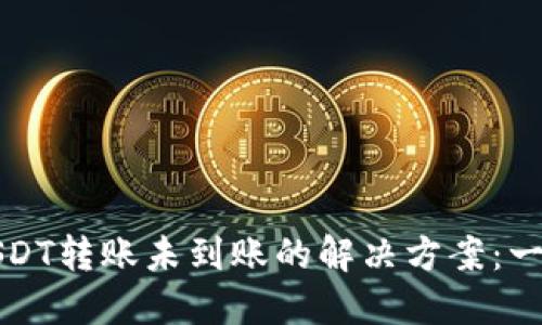 TP钱包USDT转账未到账的解决方案：一站式指南