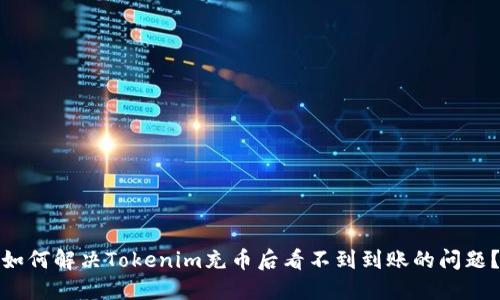 如何解决Tokenim充币后看不到到账的问题？