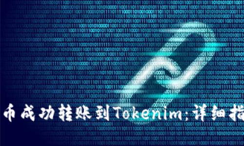 如何将云币成功转账到Tokenim：详细指南与技巧