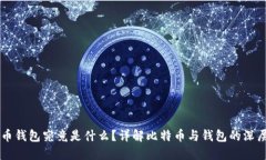 比特币钱包究竟是什么？