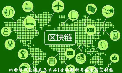 
比特币钱包丢失怎么办？全面解析与安全防范措施