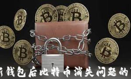 
解决更新钱包后比特币消失问题的可靠指南