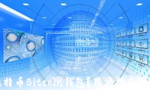 
如何选择新比特币Bitcoin钱包？用户指南与痛点解决方案