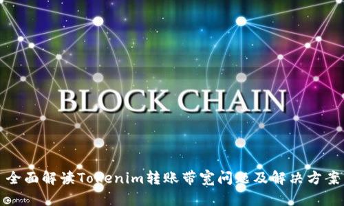 全面解读Tokenim转账带宽问题及解决方案