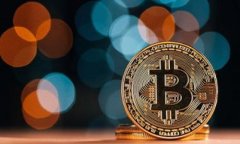 可以使用Tokenim来存储狗狗