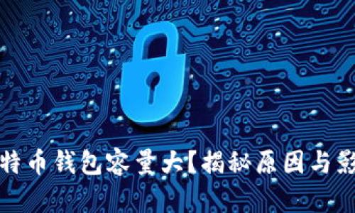 比特币钱包容量大？揭秘原因与影响