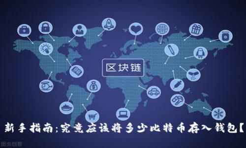 新手指南：究竟应该将多少比特币存入钱包？