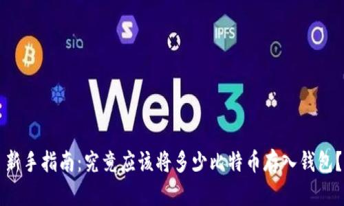 新手指南：究竟应该将多少比特币存入钱包？