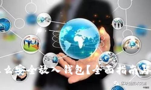 虚拟币怎么安全放入钱包？全面指南与实用技巧