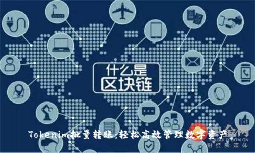 Tokenim批量转账：轻松高效管理数字资产