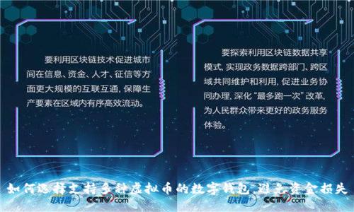 如何选择支持多种虚拟币的数字钱包，避免资金损失