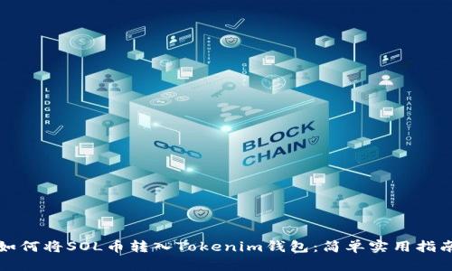 如何将SOL币转入Tokenim钱包：简单实用指南