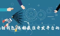 开发区块链钱包：选择最