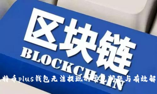 解决比特币plus钱包无法提现的常见问题与有效解决方案