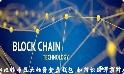 
揭秘比特币最大的资金盘钱包：如何识别与应对风险