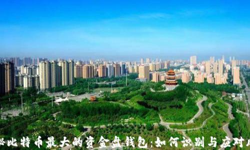 
揭秘比特币最大的资金盘钱包：如何识别与应对风险