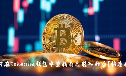 如何在Tokenim钱包中查找自己转入的币？快速指南