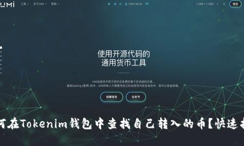 如何在Tokenim钱包中查找自己转入的币？快速指南