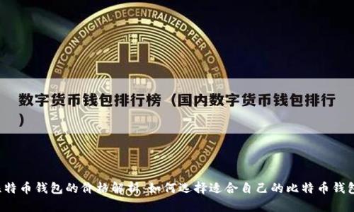 比特币钱包的价格解析：如何选择适合自己的比特币钱包？