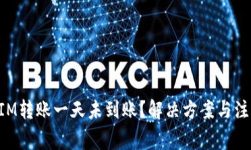 TokenIM转账一天未到账？解决方案与注意事项