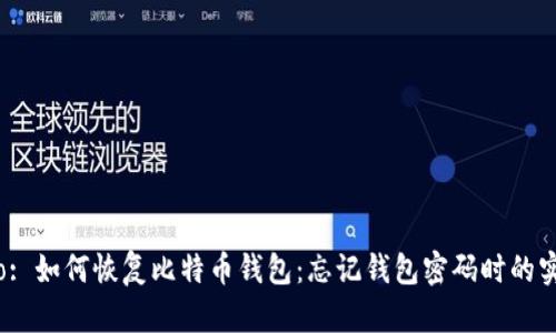 Título: 如何恢复比特币钱包：忘记钱包密码时的实用指南