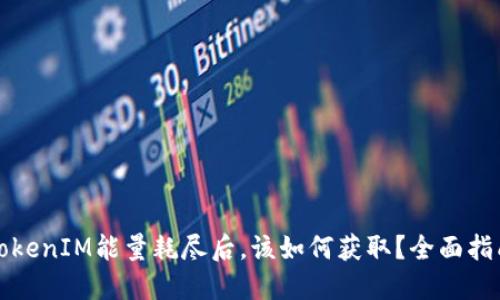TokenIM能量耗尽后，该如何获取？全面指南