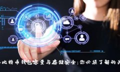 2020年比特币钱包容量与存