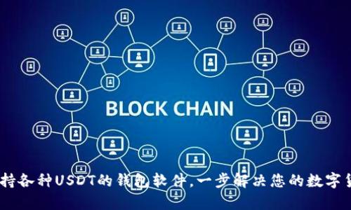 全面解析：支持各种USDT的钱包软件，一步解决您的数字货币管理烦恼