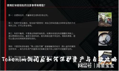 Tokenim倒闭后如何保护资产与自救攻略