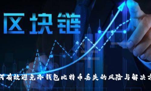 如何有效避免冷钱包比特币丢失的风险与解决方案