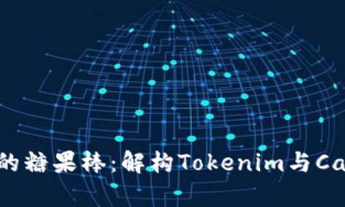 如何选择适合自己的糖果棒：解构Tokenim与Candybar的对比分析