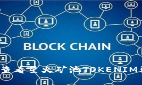 如何快速查看星火矿池TOKENIM到账情况？