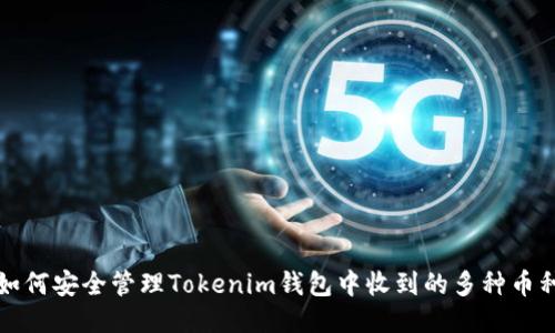 如何安全管理Tokenim钱包中收到的多种币种