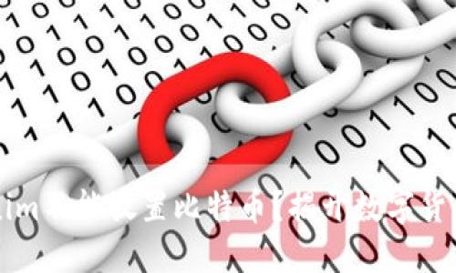 为什么Tokenim不能放置比特币？揭开数字货币背后的秘密