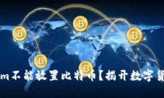 为什么Tokenim不能放置比特