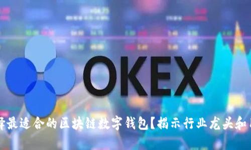 如何选择最适合的区块链数字钱包？揭示行业龙头和用户痛点