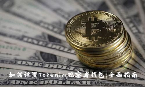 如何设置Tokenim观察者钱包：全面指南