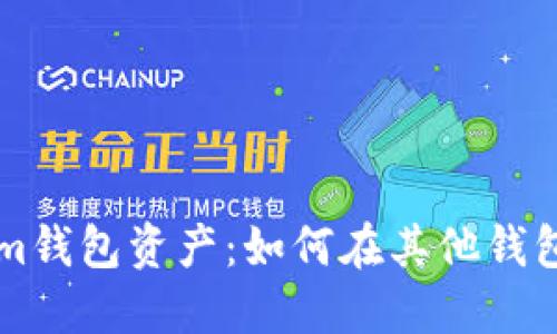 ### Tokenim钱包资产：如何在其他钱包中访问和管理