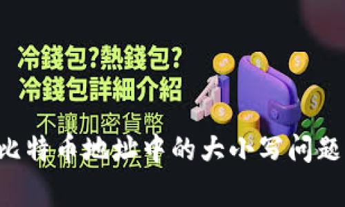如何正确处理比特币地址中的大小写问题，避免常见错误