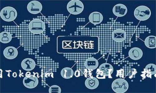 如何安全使用Tokenim 1.0钱包？用户指南与安全技巧